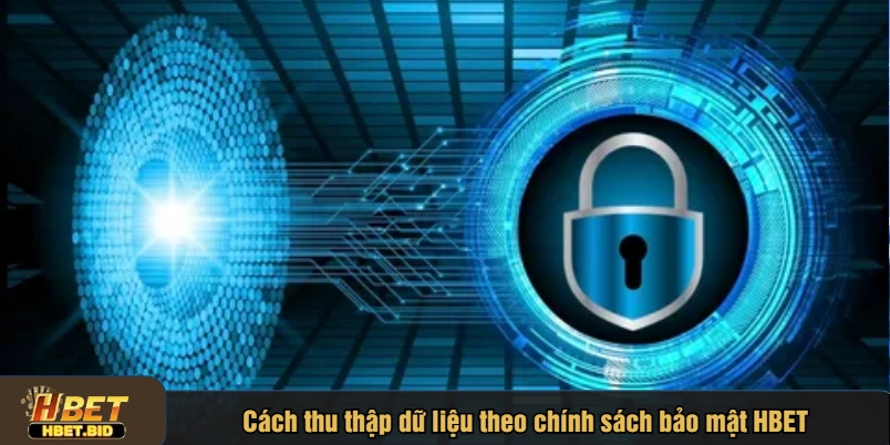 Cách thu thập dữ liệu theo chính sách bảo mật HBET
